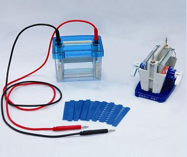 迷你雙垂直電泳儀(槽)(小號)DYCZ-24DN型