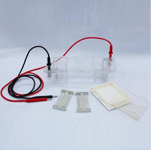 瓊脂糖水平電泳儀(槽)(小號)DYCP-31CN型