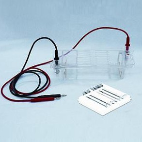 瓊脂糖水平電泳槽(中號(hào))DYCP-32B型