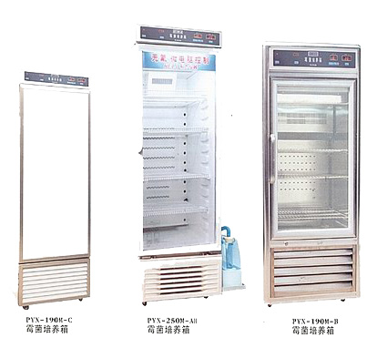 霉菌培養箱
