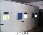 RSZ系列氣候室
