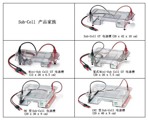 伯樂Sub-Cell系統