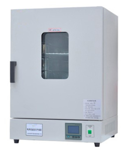 立式電熱恒溫鼓風(fēng)干燥箱LDO-9030A