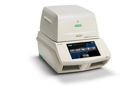 CFX384 Touch™ 熒光定量 PCR 檢測系統